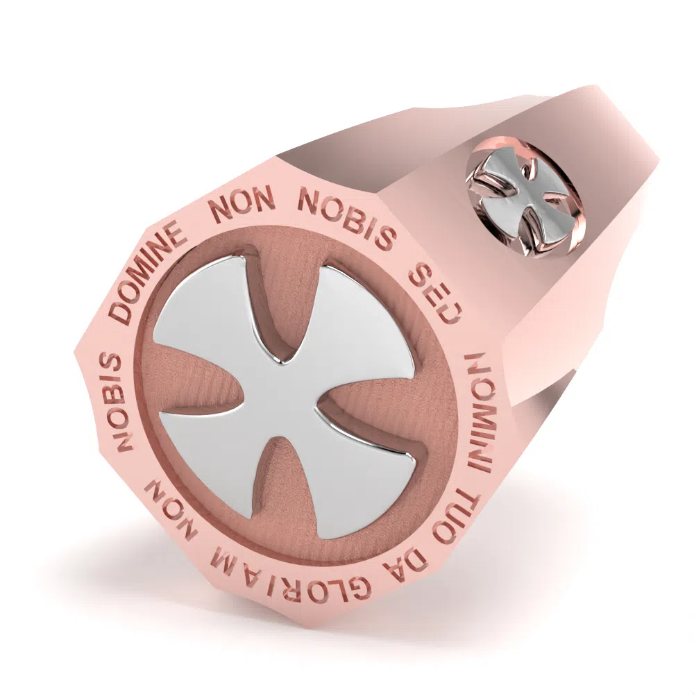 Anello GisorS