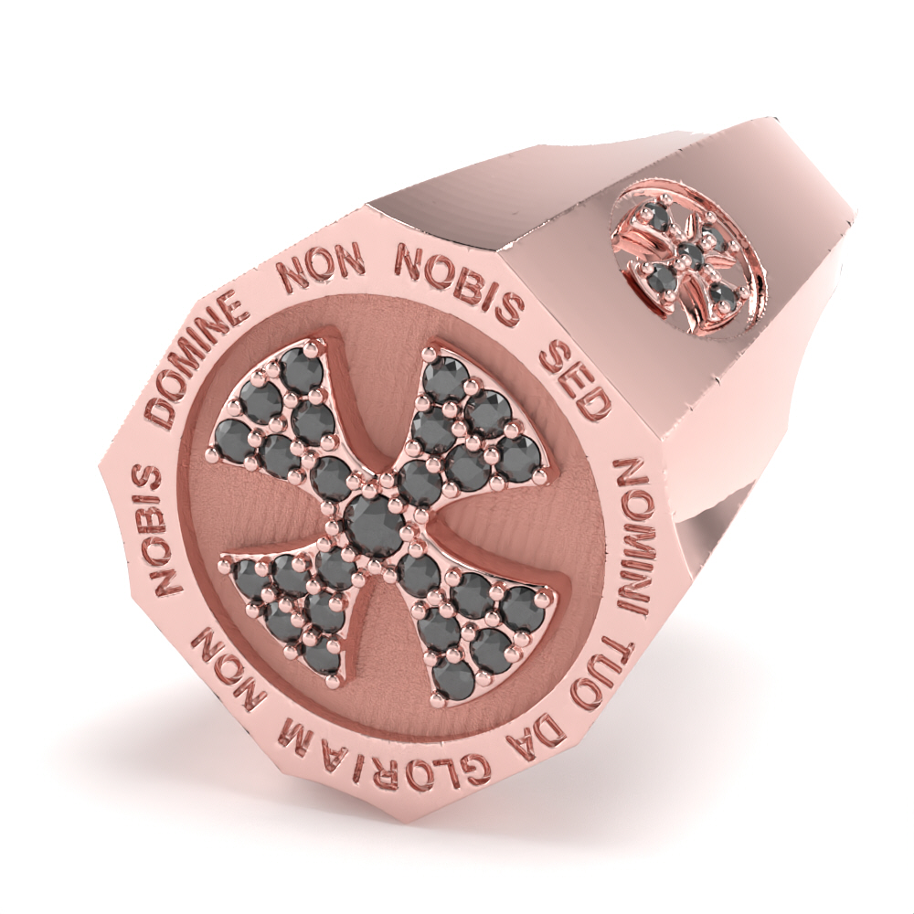 Anello GisorS