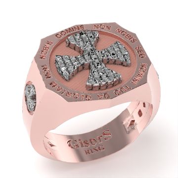 Anello GisorS